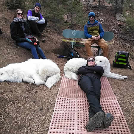 ALaRocca ChillinwDogs HiView