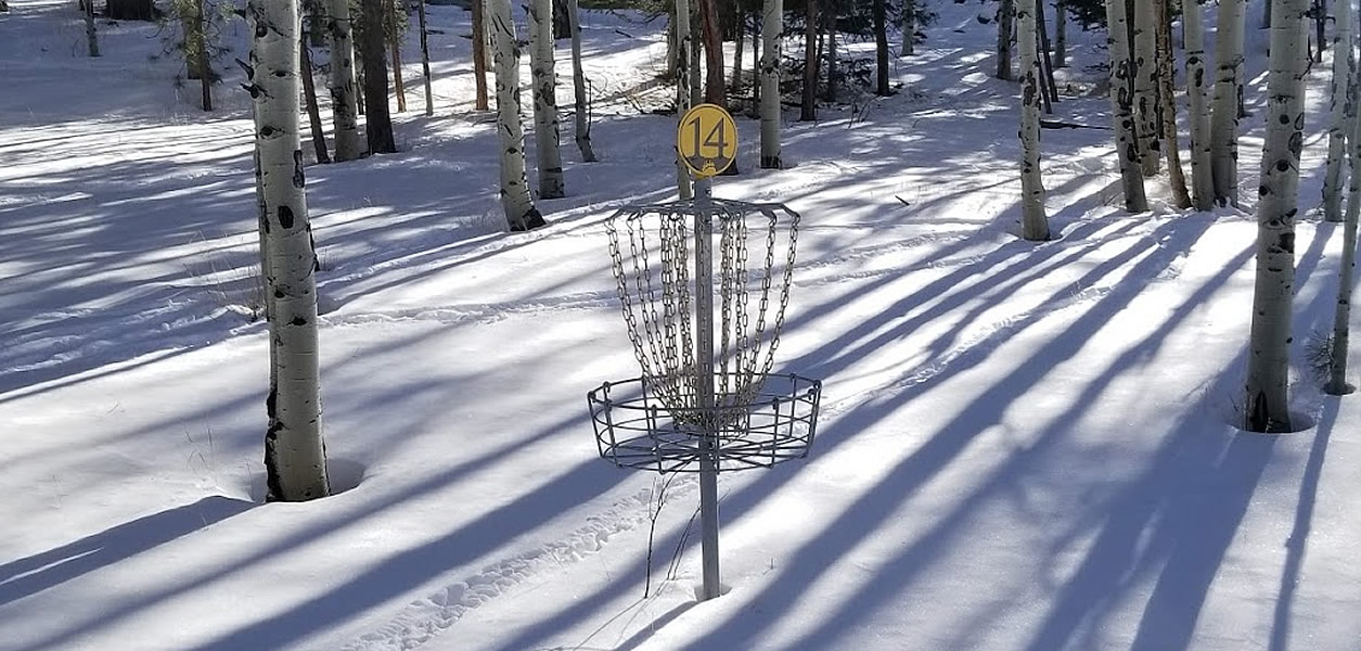 Dave Ross Bear Mtn basket trees shadows