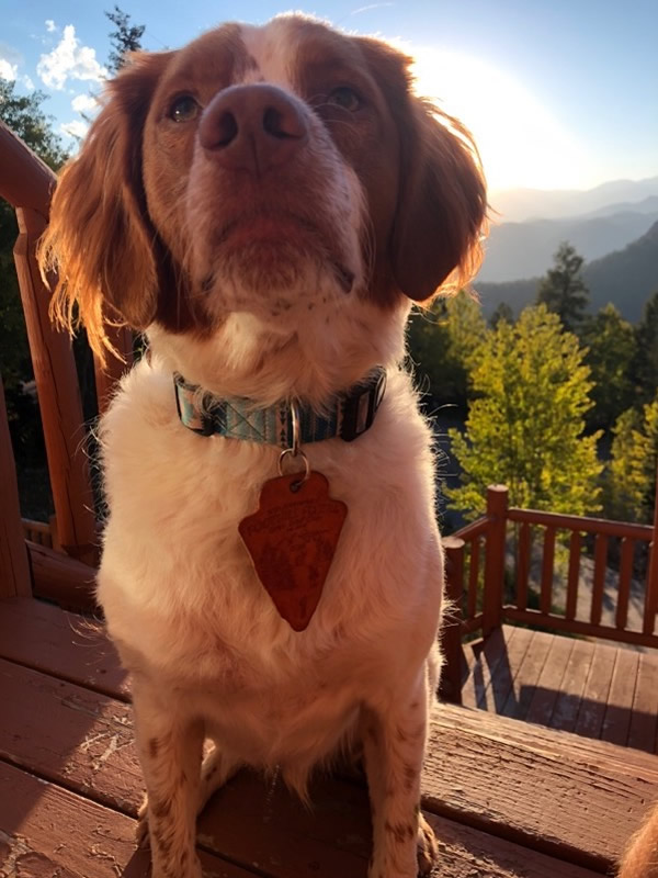 Jeremy Bryson dog tag